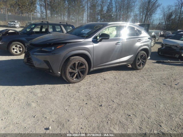 2020 Lexus NX, VIN: JTJGARDZ1L2229091