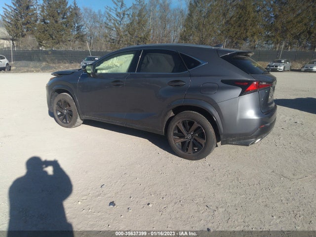 2020 Lexus NX, VIN: JTJGARDZ1L2229091