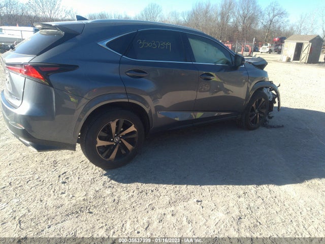 2020 Lexus NX, VIN: JTJGARDZ1L2229091