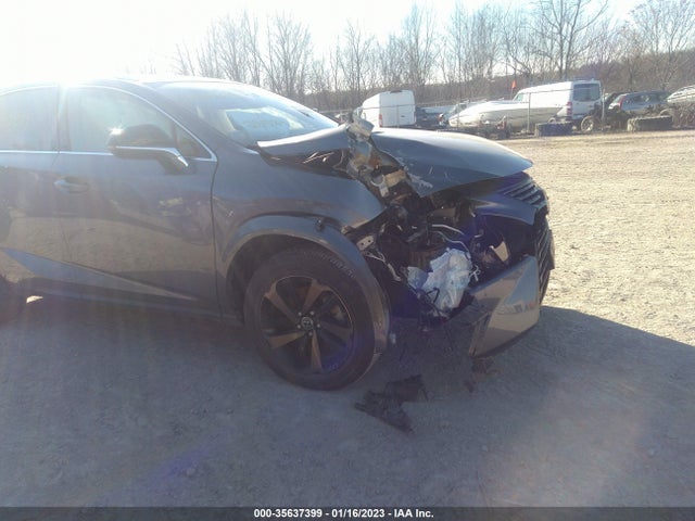 2020 Lexus NX, VIN: JTJGARDZ1L2229091