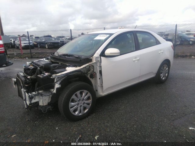 KNAFU4A26C5561555 KIA FORTE EX