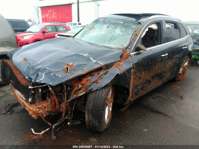 WA1D7AFP9GA033813 Audi Q5 Premium Plus