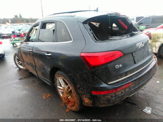 WA1D7AFP9GA033813 Audi Q5 Premium Plus