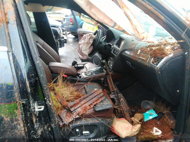 WA1D7AFP9GA033813 Audi Q5 Premium Plus