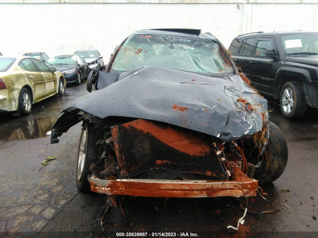 WA1D7AFP9GA033813 Audi Q5 Premium Plus