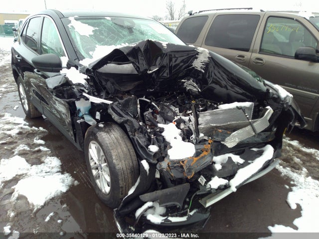 2022 Ford Escape, VIN: 1FMCU9G69NUA61276