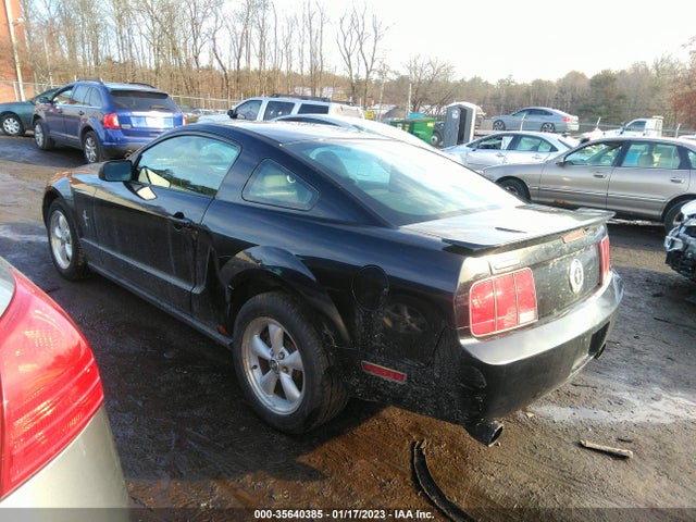 2008 FORD MUSTANG DELUXE/PREMIUM VIN: 1ZVHT80N885100850