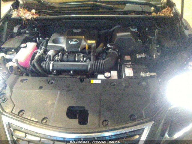 JTJDARDZ9M2244619 Lexus Nx Nx 300