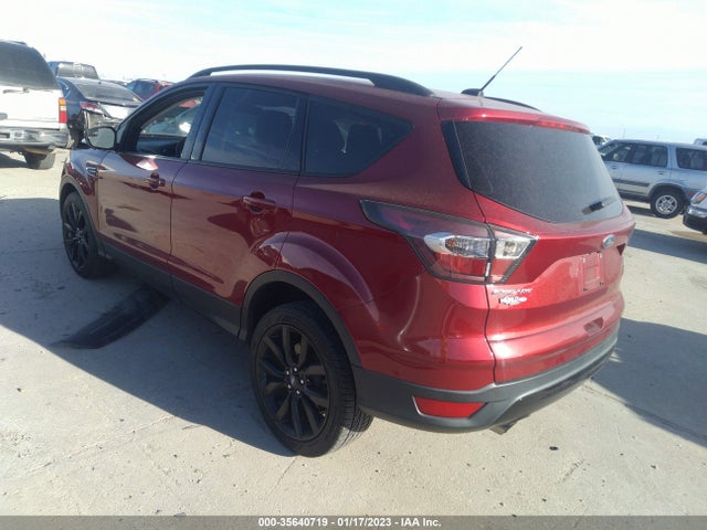 2017 Ford Escape, VIN: 1FMCU0GD1HUB49253