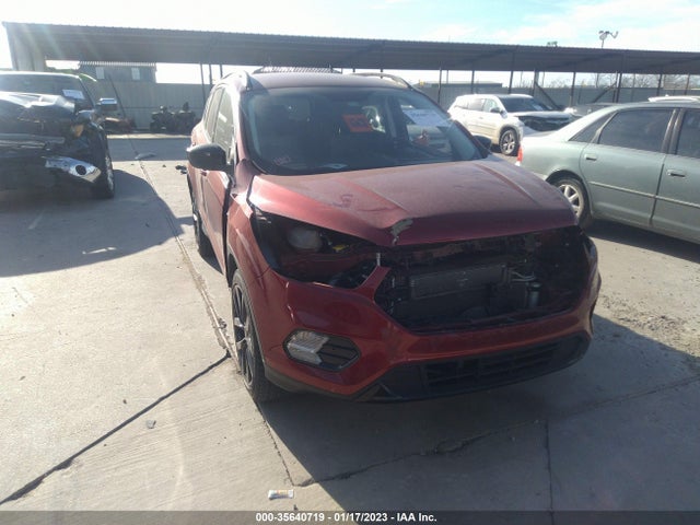 2017 Ford Escape, VIN: 1FMCU0GD1HUB49253