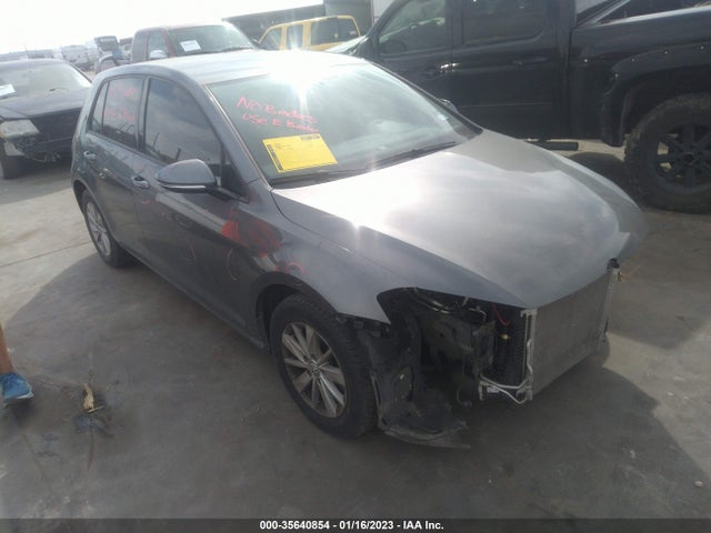 2016 Volkswagen Golf, VIN: 3VW217AUXGM038209