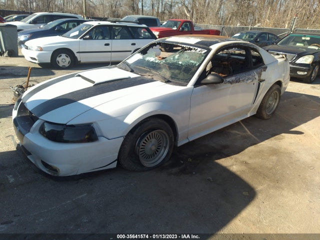 2002 FORD MUSTANG GT VIN: 1FAFP42X12F195426