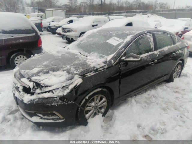 2016 HYUNDAI SONATA 2.4L SE VIN: 5NPE24AF3GH307928