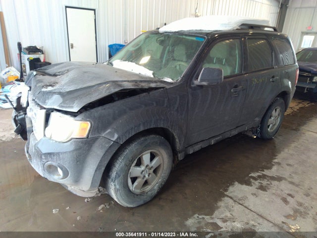 2009 FORD ESCAPE XLT VIN: 1FMCU93G99KA81785