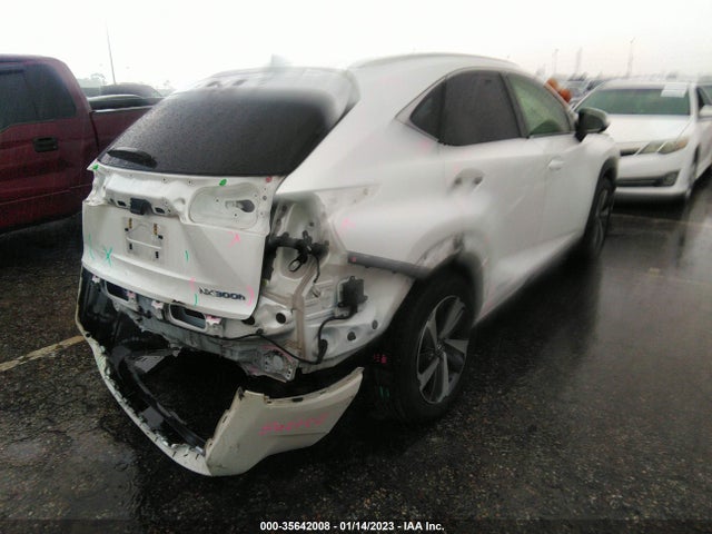 2018 Lexus NX, VIN: JTJBJRBZ5J2096152