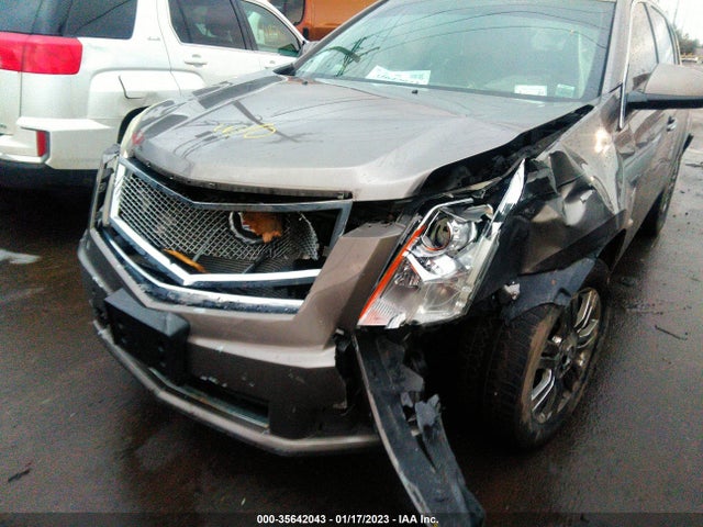 Cadillac Srx Luxury Collection 2011 3GYFNDEY7BS670135 Image 6