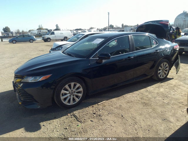 2019 Toyota Camry, VIN: 4T1B11HK4KU708406
