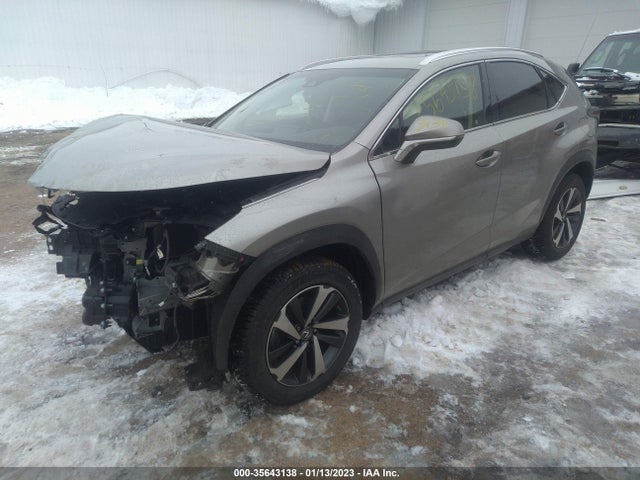 2018 Lexus NX, VIN: JTJBARBZ5J2176826