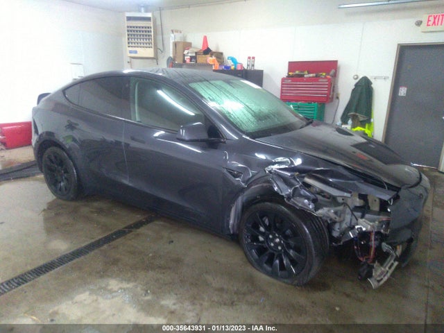 Tesla Model Y 2022 7SAYGDEE8NF428436 главное изображение