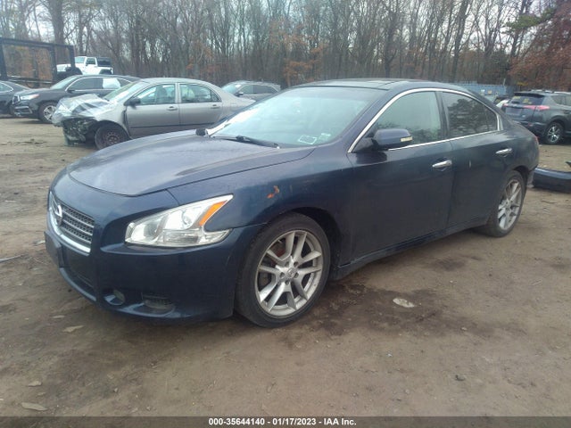 2010 NISSAN MAXIMA 3.5 SV W/PREMIUM PKG VIN: 1N4AA5AP7AC827803