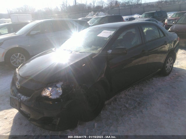 2010 TOYOTA COROLLA VIN: JTDBU4EE9AJ068849