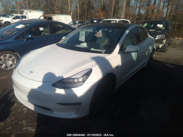 Tesla MODEL 3 2020 5YJ3E1EA8LF797755 Image 2