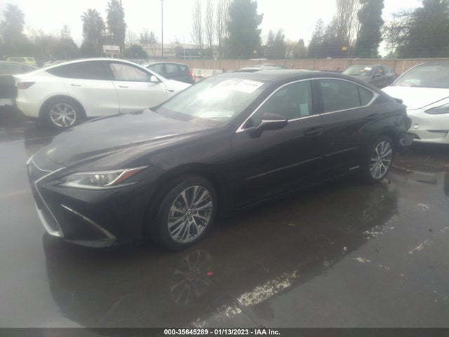 2020 Lexus ES, VIN: 58AD21B15LU008989