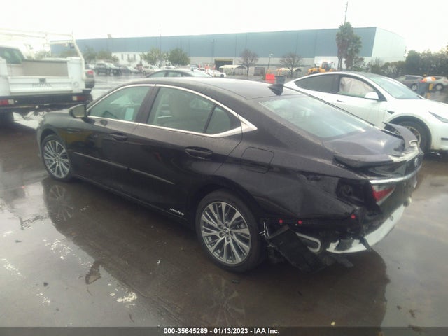 2020 Lexus ES, VIN: 58AD21B15LU008989