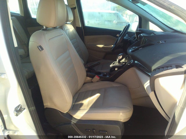 2017 Ford C-Max, VIN: 1FADP5FU6HL110233