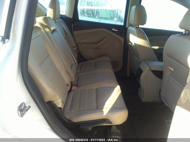 2017 Ford C-Max, VIN: 1FADP5FU6HL110233