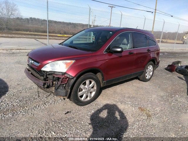 Honda CR-V EX 2009 3CZRE48529G702209 Image 2
