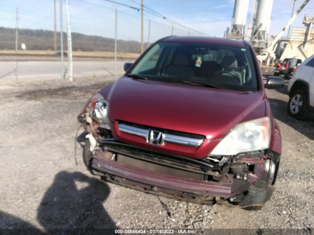 Honda CR-V EX 2009 3CZRE48529G702209 Image 7