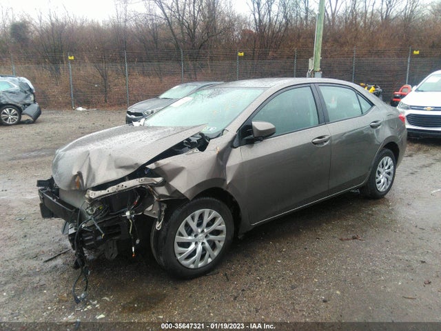 2019 TOYOTA COROLLA L/LE/SE/XLE/XSE VIN: 2T1BURHE0KC198136