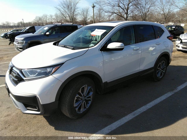 Honda CR-V 2020 2HKRW2H80LH655858 Image 2