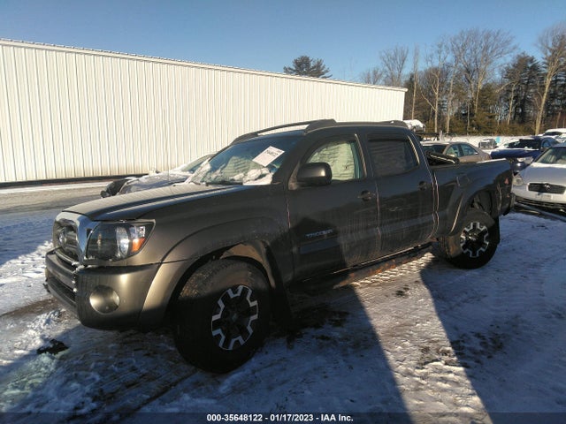 2009 TOYOTA TACOMA VIN: 3TMMU52N99M015666