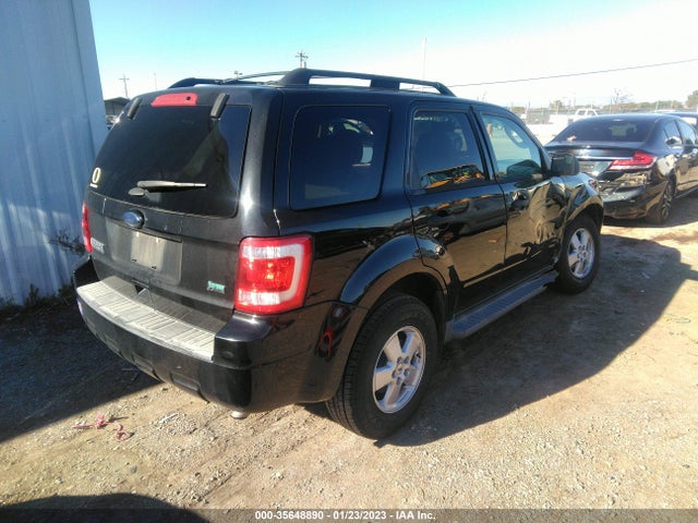 2011 FORD ESCAPE XLT VIN: 1FMCU0DG5BKC11061