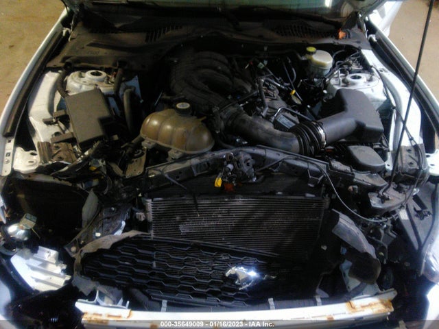 2015 Ford Fastback, VIN: 1FA6P8AMXF5343678