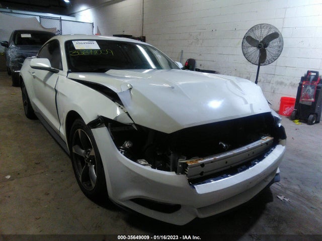 2015 Ford Fastback, VIN: 1FA6P8AMXF5343678