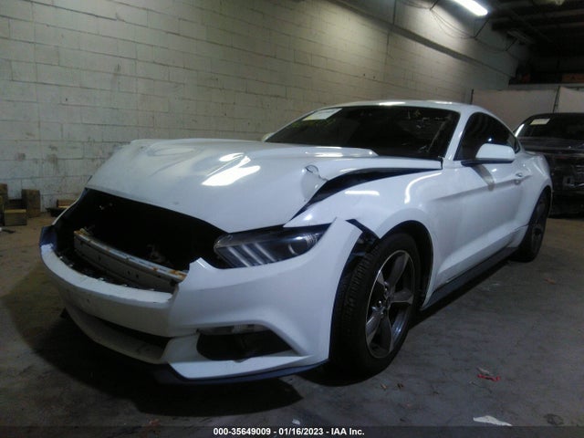 2015 Ford Fastback, VIN: 1FA6P8AMXF5343678