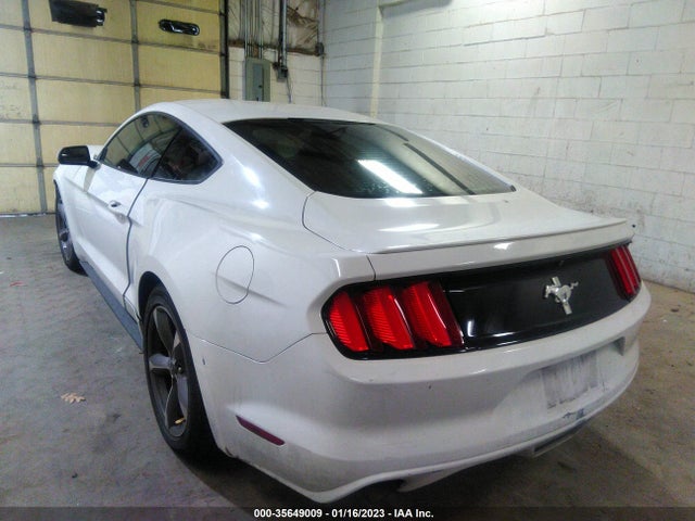 2015 Ford Fastback, VIN: 1FA6P8AMXF5343678