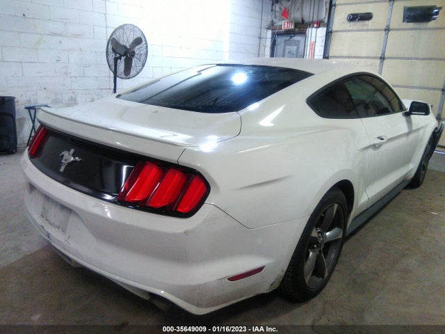 2015 Ford Fastback, VIN: 1FA6P8AMXF5343678