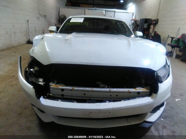 2015 Ford Fastback, VIN: 1FA6P8AMXF5343678