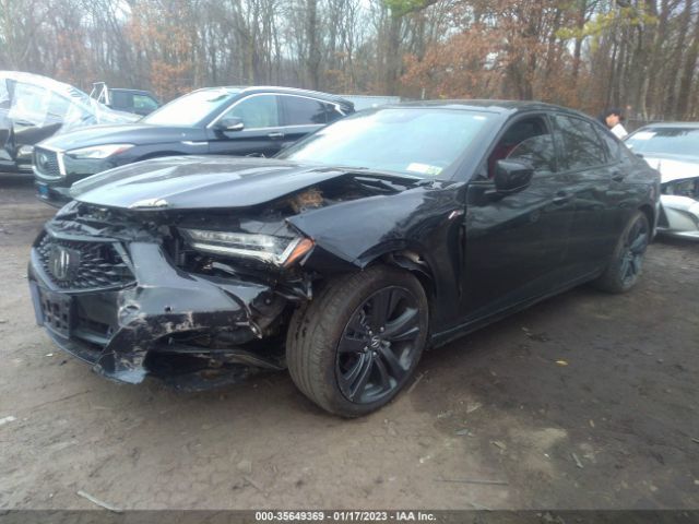 19UUB6F51MA010930 Acura TLX