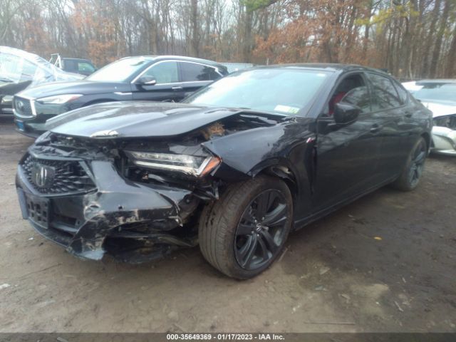 19UUB6F51MA010930 Acura TLX