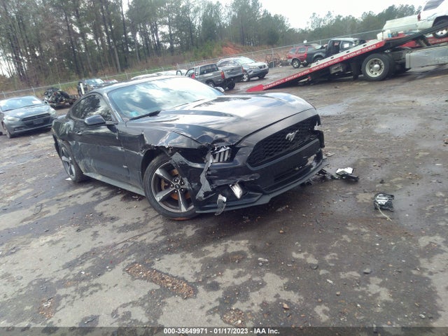 2015 Ford Fastback, VIN: 1FA6P8AM0F5302332