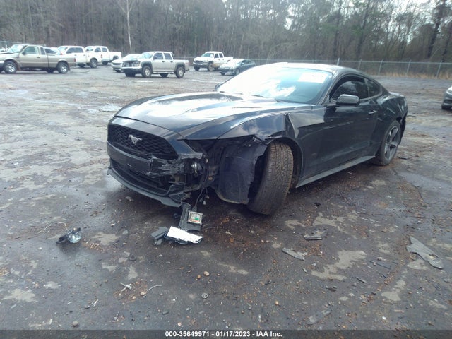 2015 Ford Fastback, VIN: 1FA6P8AM0F5302332