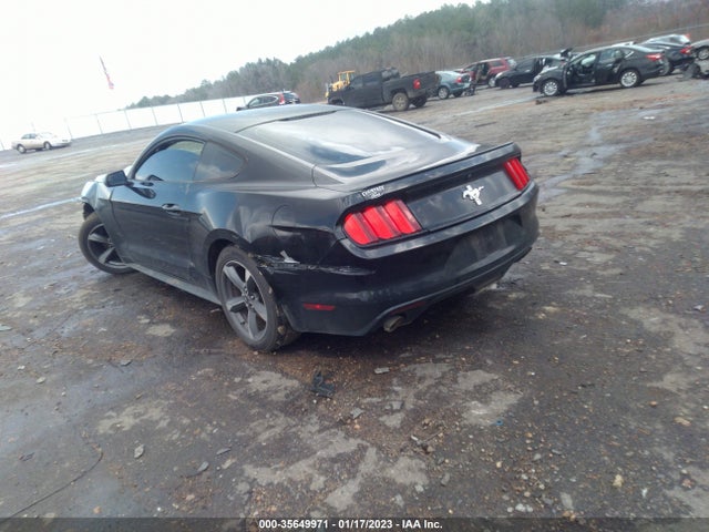 2015 Ford Fastback, VIN: 1FA6P8AM0F5302332