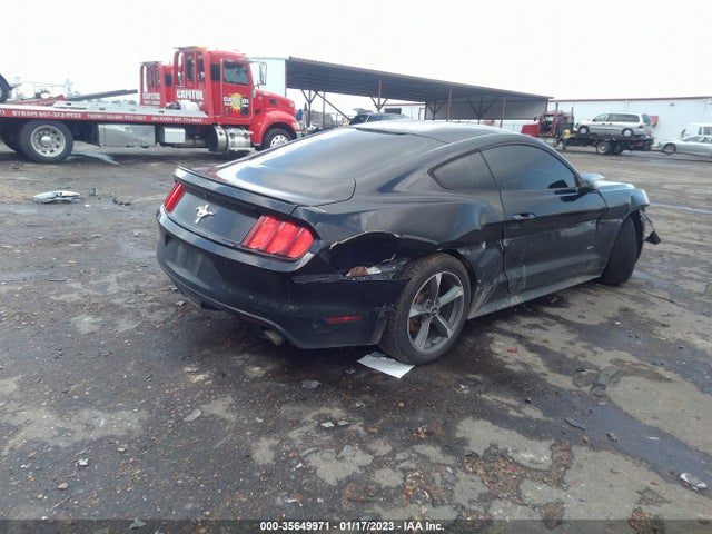 2015 Ford Fastback, VIN: 1FA6P8AM0F5302332