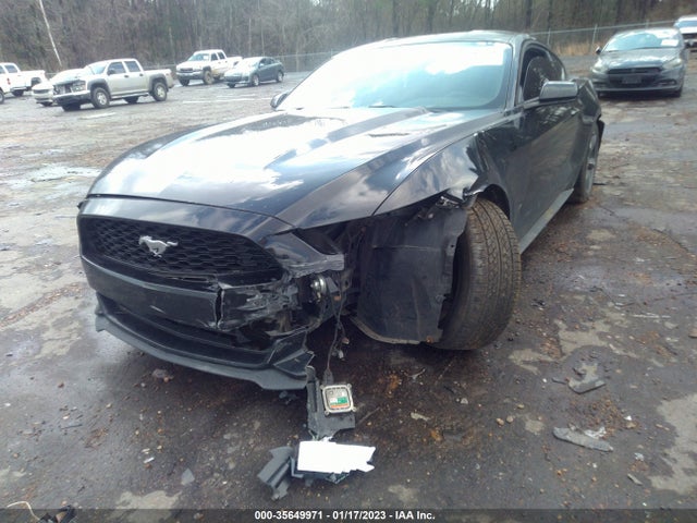 2015 Ford Fastback, VIN: 1FA6P8AM0F5302332