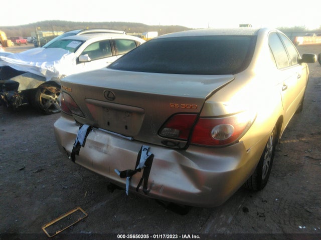 Lexus ES 300 2003 JTHBF30G130095919 Image 7